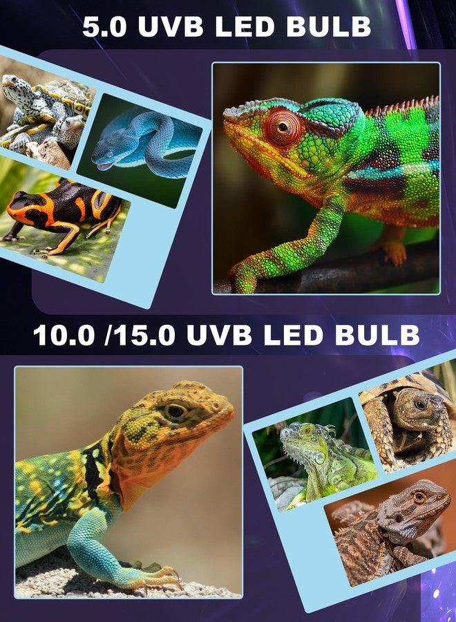 Reptispa LED UVB Light for Reptiles, 5W 10.0 LED UVA UVB Lamp, Reptile UVB Bulb for Bearded Dragon Lizard Gecko Snake Turtle, Provide Sufficient UVB Exposure Tropical & Desert Reptiles - Image 4